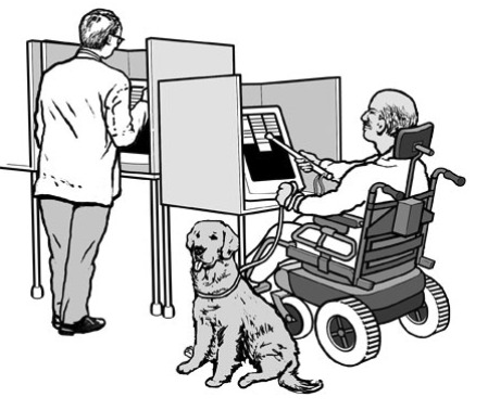 Accessibile Polling Image
